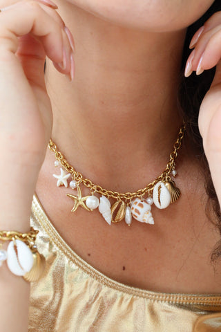 COLLIER • SHELL •