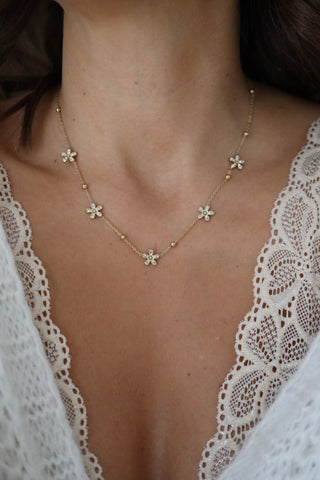 COLLIER • AMBRE •