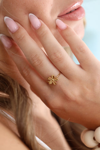 BAGUE • BAIN DE LUMIÈRE •