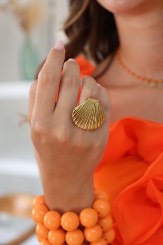 BAGUE • SILENCE DES DUNES •