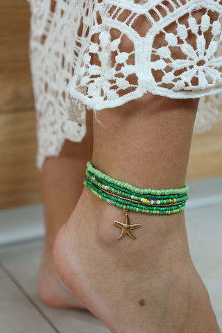 CHEVILLERE • ABRICOT SOLAIRE •