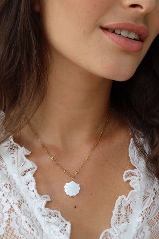 COLLIER • ARELA •