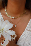 COLLIER • ÎLE AUX OISEAUX •