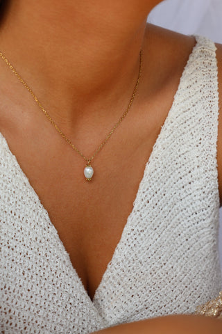 COLLIER • ÎLE AUX OISEAUX •